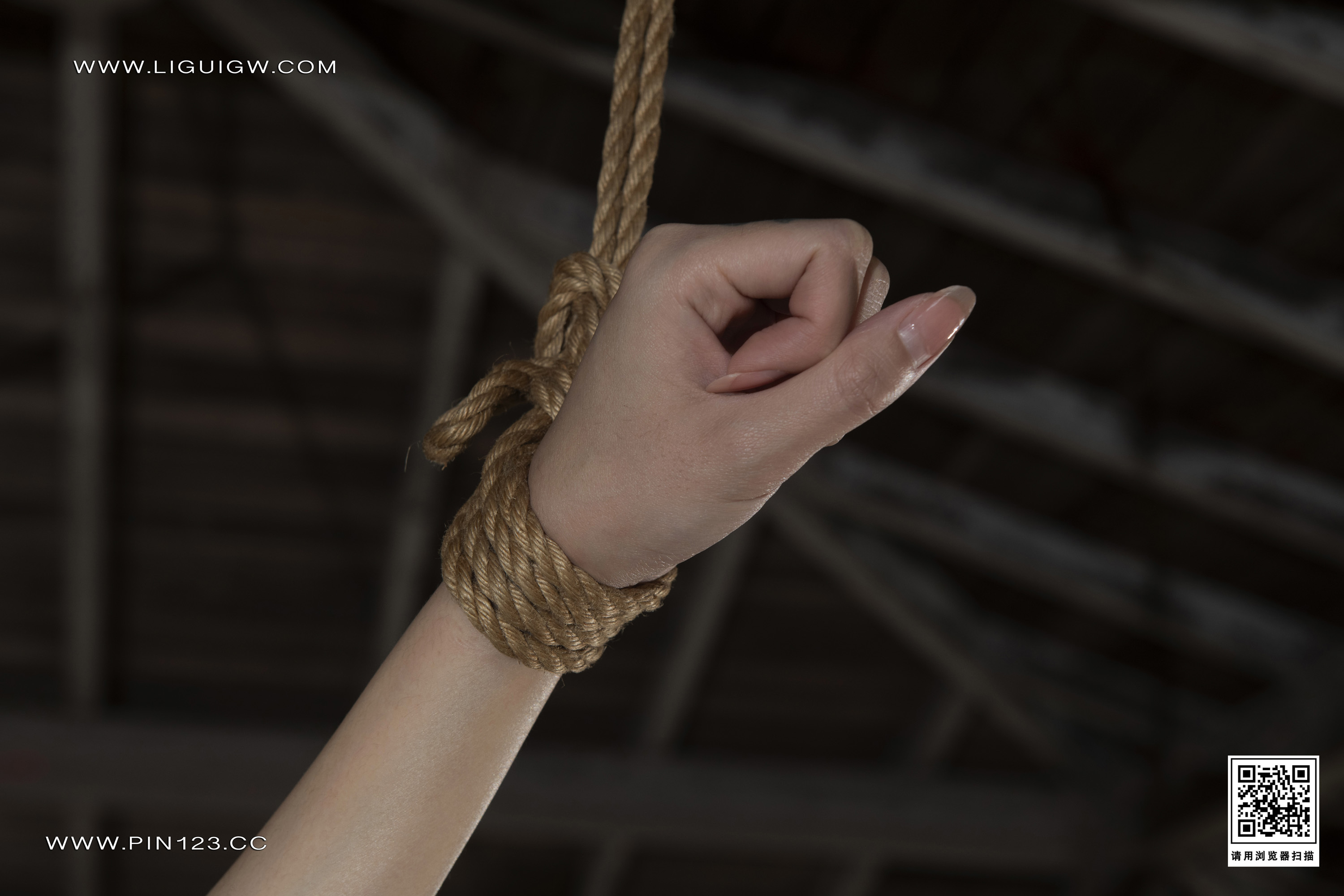 Ligui丽柜  2024.11.01 日本旅拍1 兔子 美束版